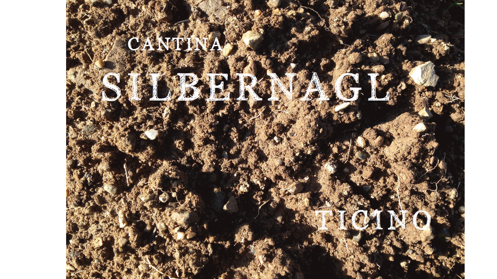 cantina silbernagl Ticino